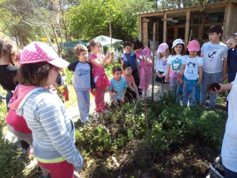 No início do ano ,uma aula na horta para incentivar as crianças a participar no programa, demonstrando as vantagens da agricultura biológica.